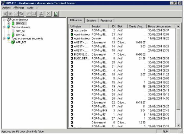 Gestionnaire Terminal Serveur